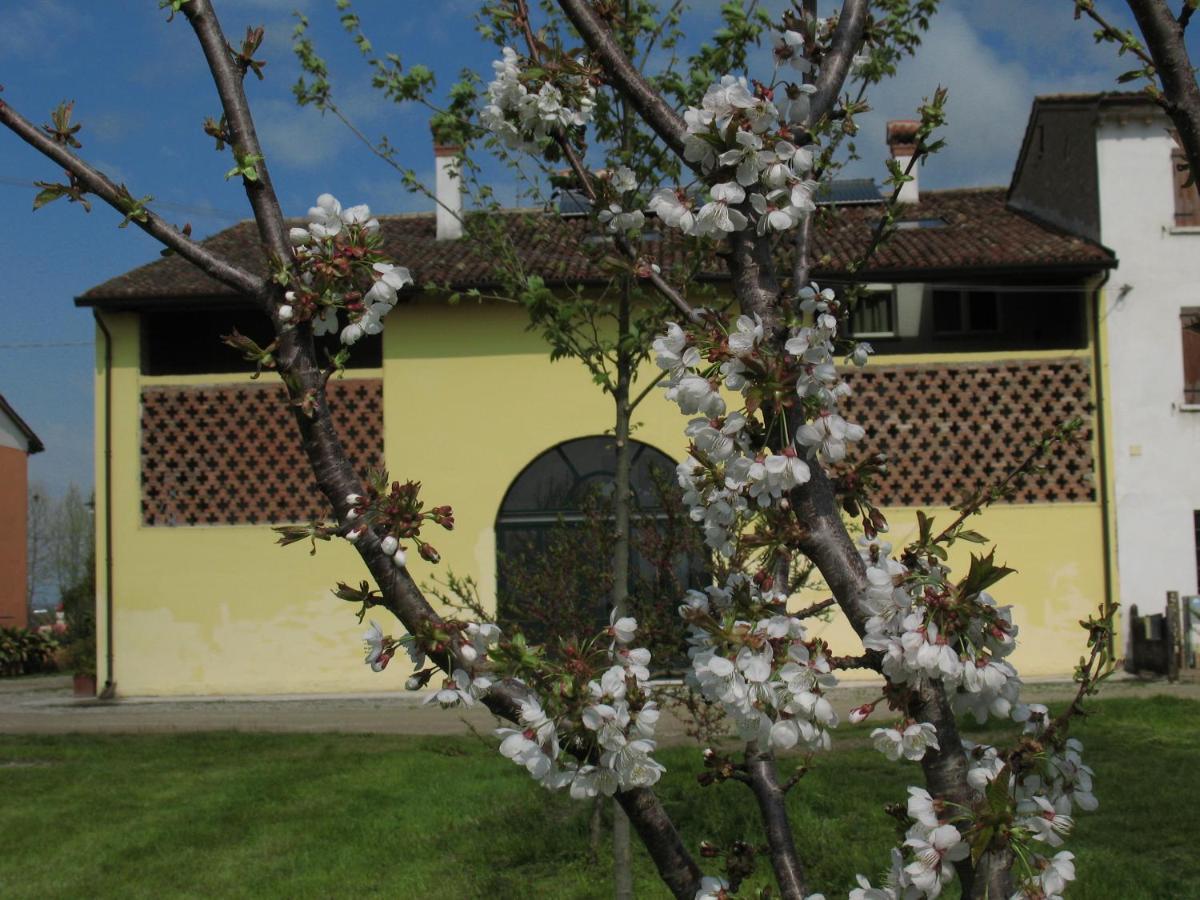 B&B Corte Cornalino Roverbella Bagian luar foto